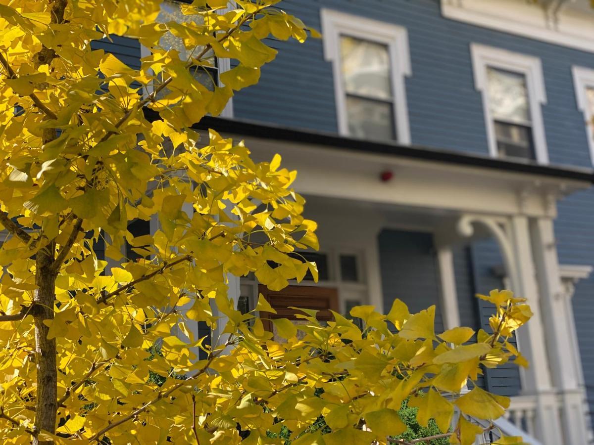 Ginkgo House On Harvard Cambridge Exteriör bild